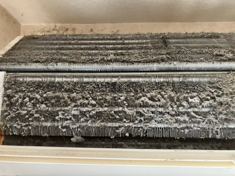 熱交換器にびっしり付いたカビとホコリ クリーニング前